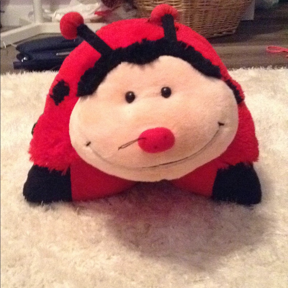 Ladybug pillow pet